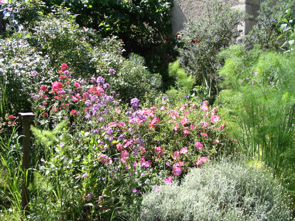 Jardin sauvage Refuge LPO &copy; V&eacute;ronique Gauduchon